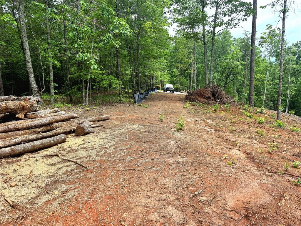 329 River Highlands Road Dahlonega, GA 30533 - Photo 8 of 9