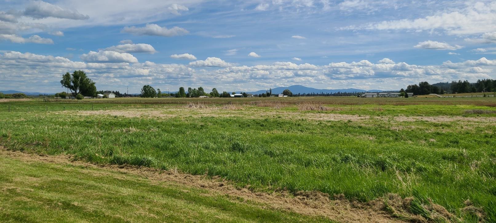 21908 North Spotted Road Deer Park, WA 99006 - Photo 23 of 23