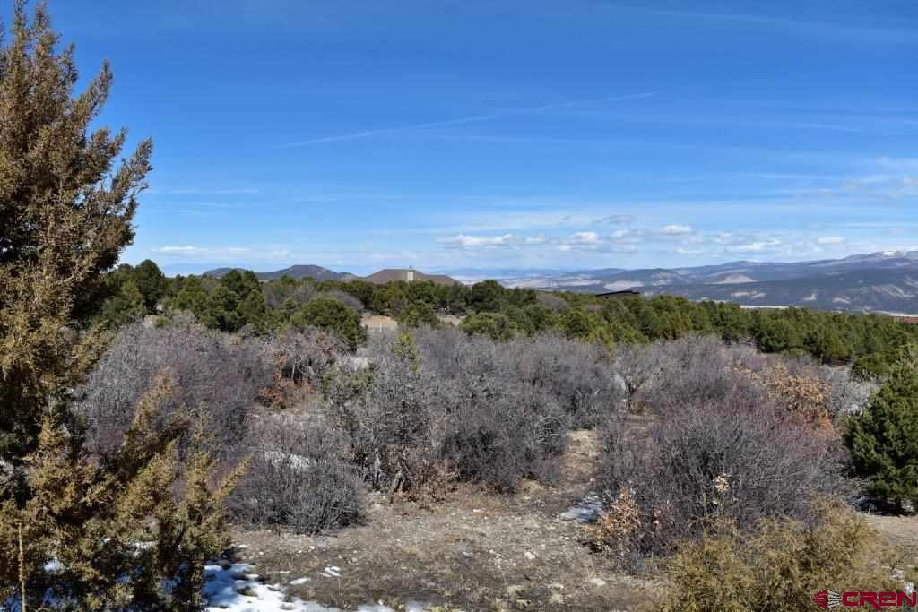 802 H Pine Drive Ridgway, CO 81432 - Photo 13 of 20 a view of a dry yard with trees in the background