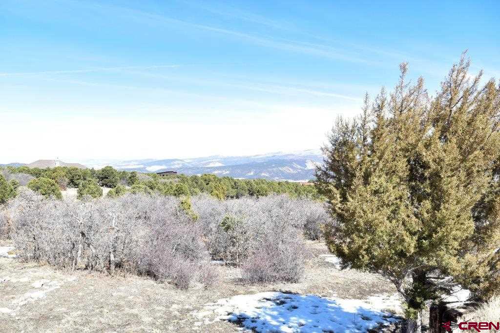 802 H Pine Drive Ridgway, CO 81432 - Photo 14 of 20 a view of a forest with trees in the background