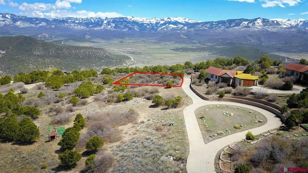 802 H Pine Drive Ridgway, CO 81432 - Photo 5 of 20 a view of swimming pool with a lot of flower plants
