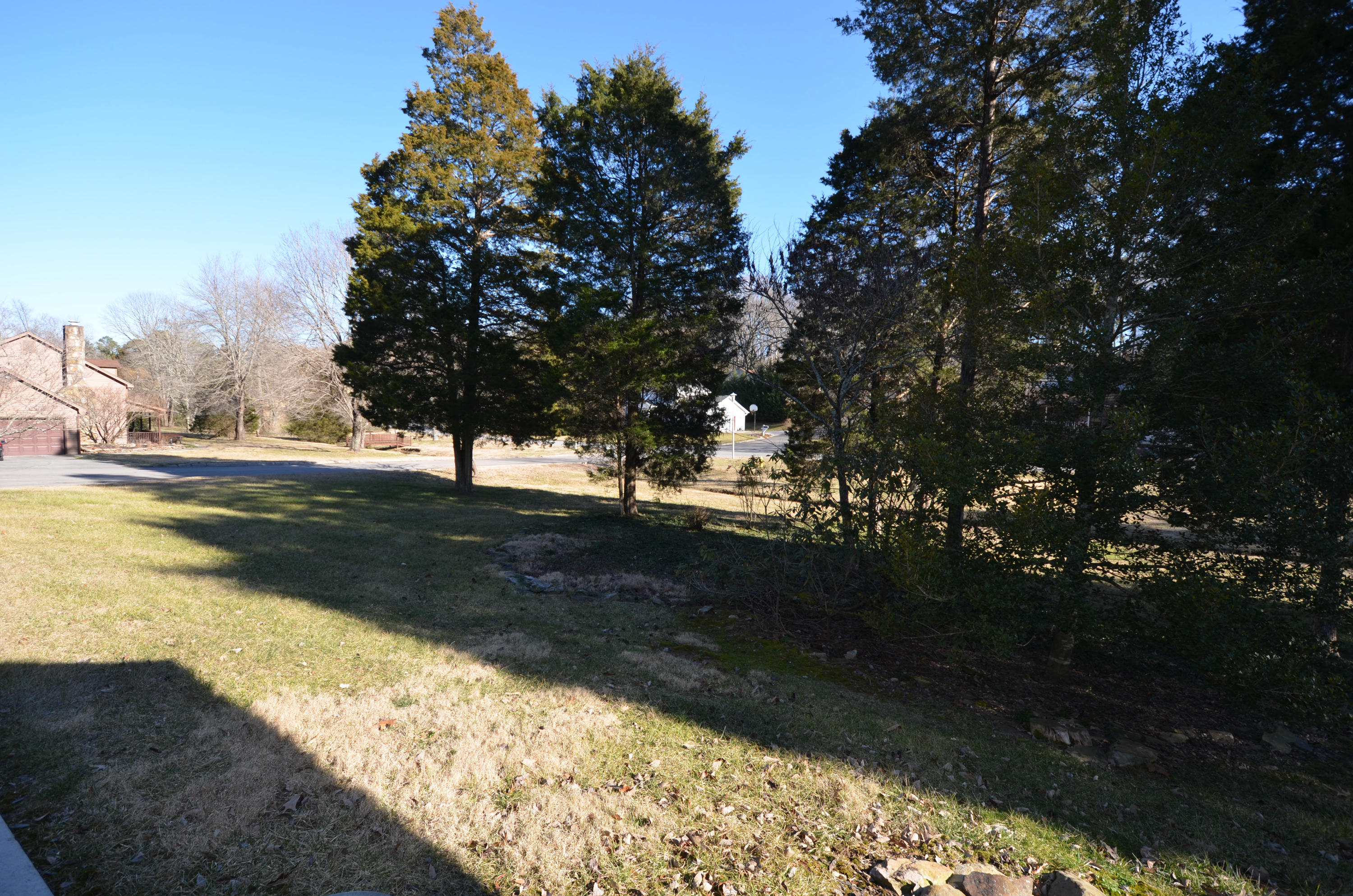 103 Hartford Place Oak Ridge, TN 37830 - Photo 15 of 15 DSC_0133
