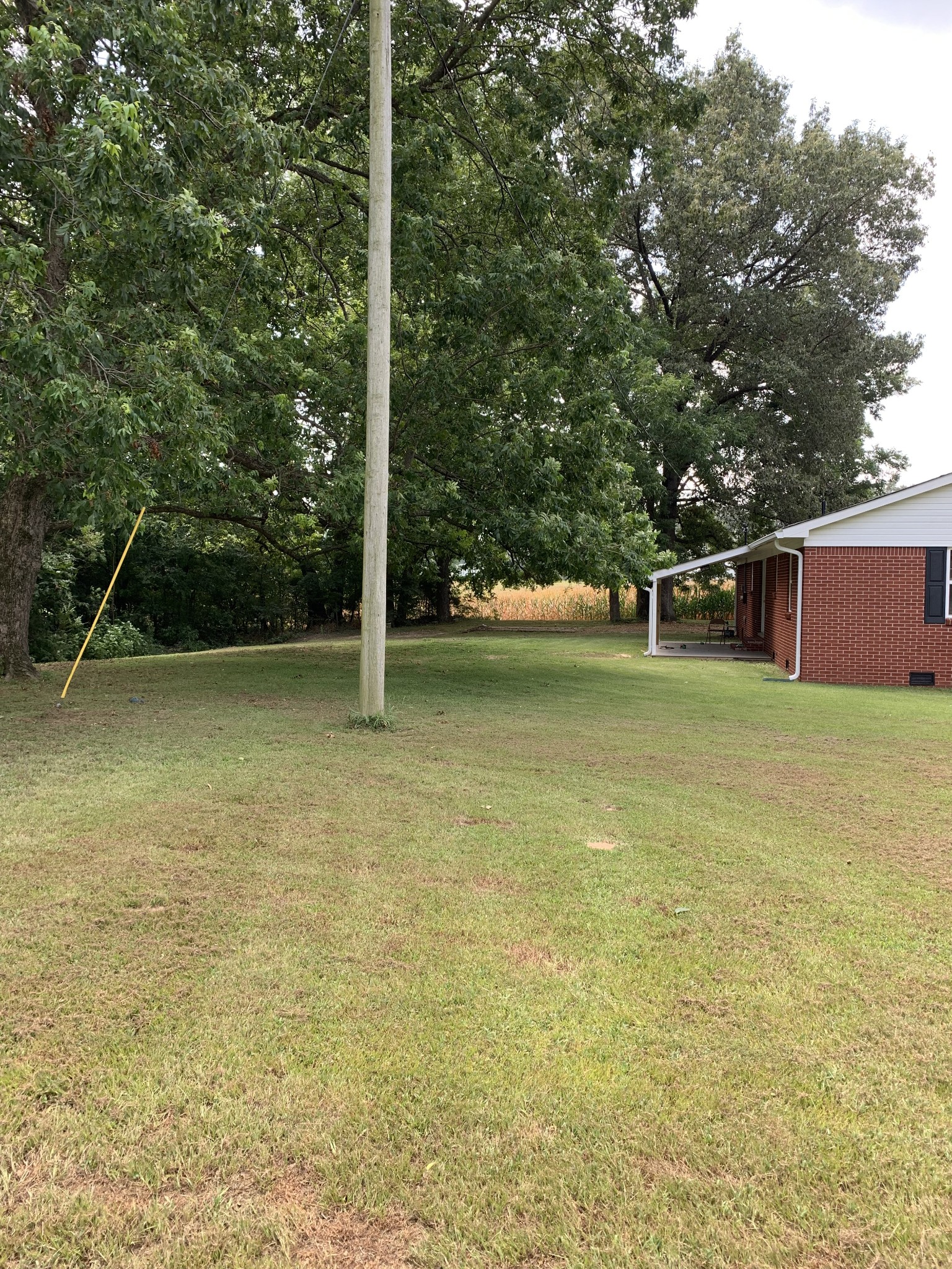 5870 Chestnut Bluff Road Friendship, TN 38034 - Photo 3 of 19 a view of a swimming pool with a yard