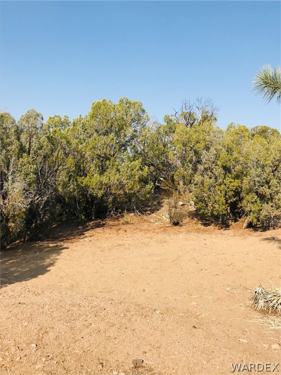 7709 Shadow Ridge Drive Yucca, AZ 86438 - Photo 16 of 39 a view of ocean
