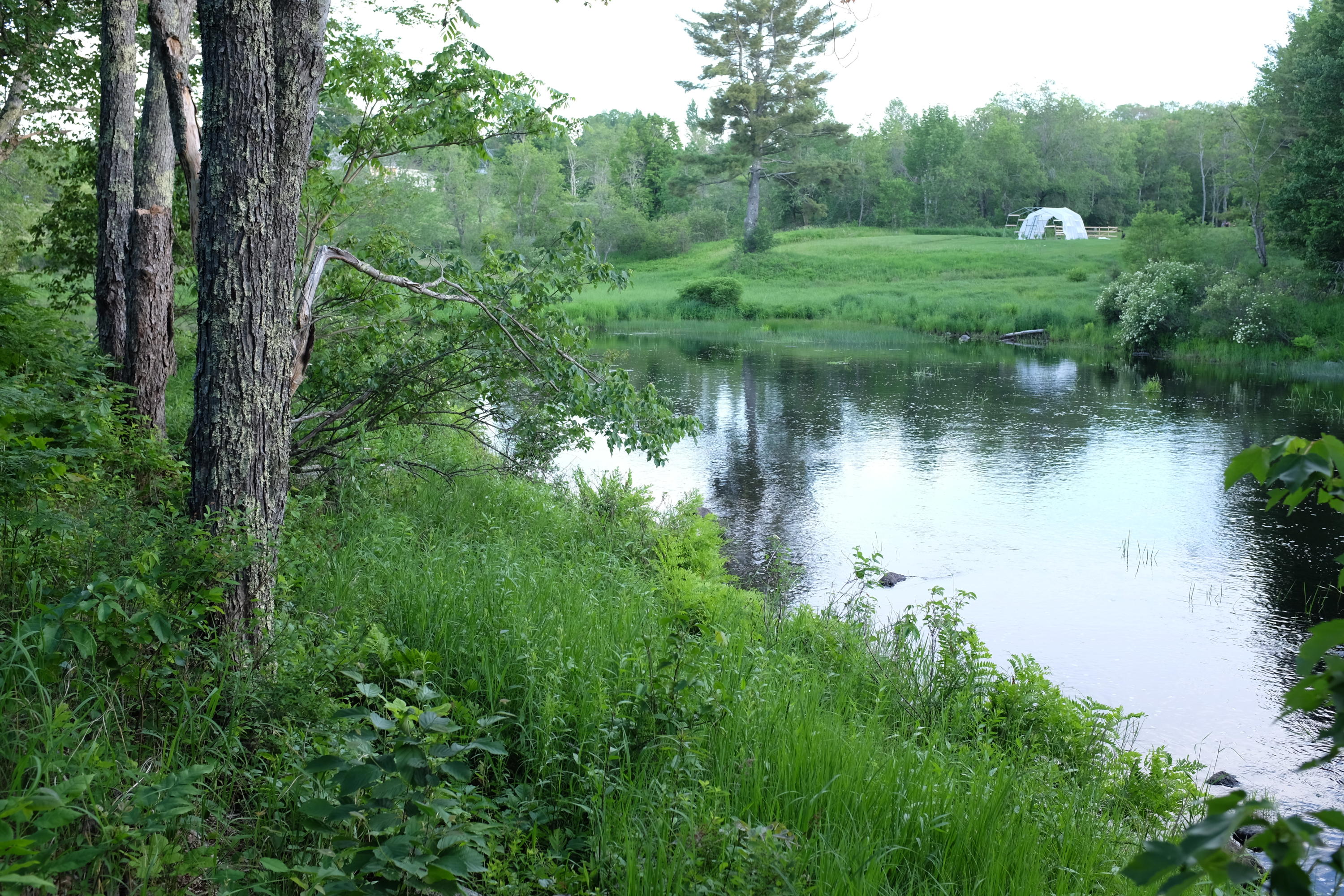 26 New England Road Searsmont, ME 04973 - Photo 10 of 44 DSCF0826
