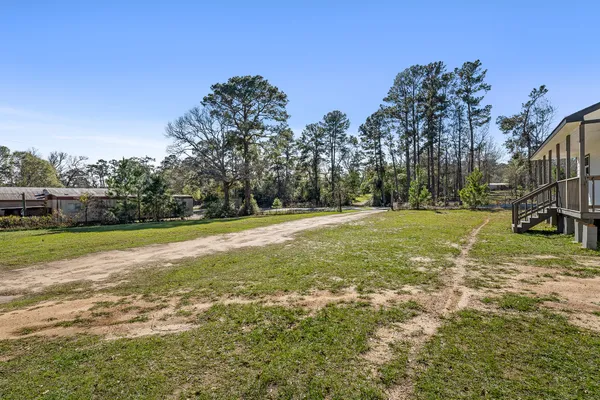 a view of a field with trees