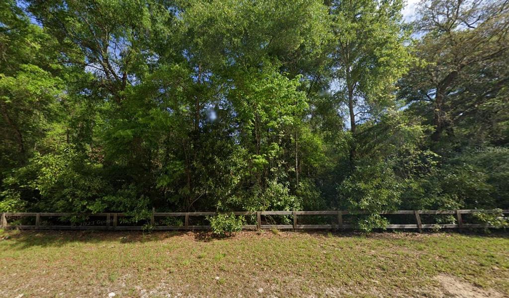 282 Southwest Alberta Place Fort White, FL 32038 - Photo 2 of 6