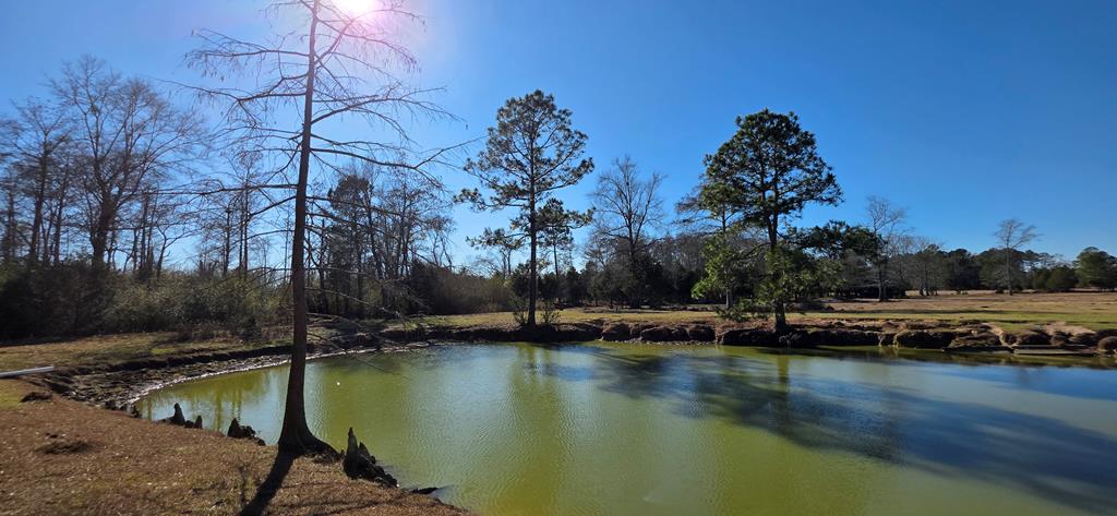 12.7-acres Nobles Road Dothan, AL 36301 - Photo 4 of 41