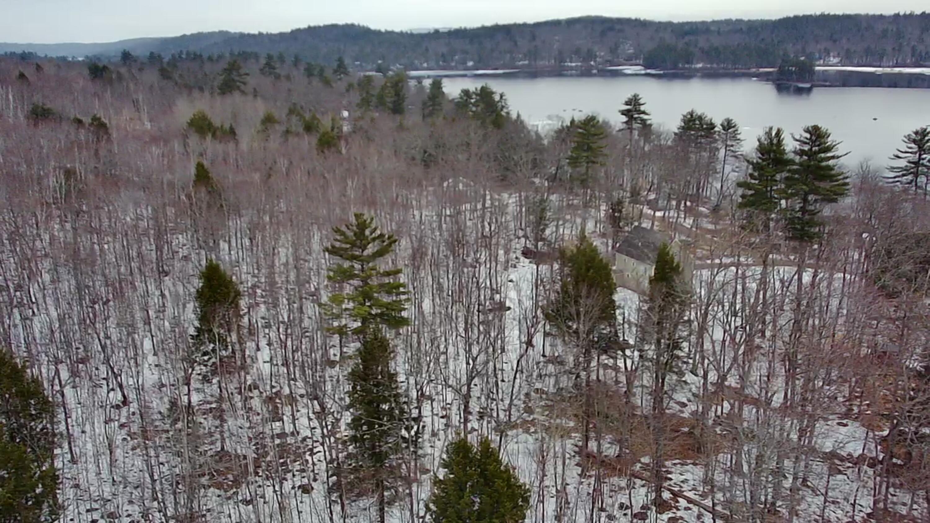 Lot 13-1 Taralaine Road Sebago, ME 04029 - Photo 30 of 51 IMG_7432