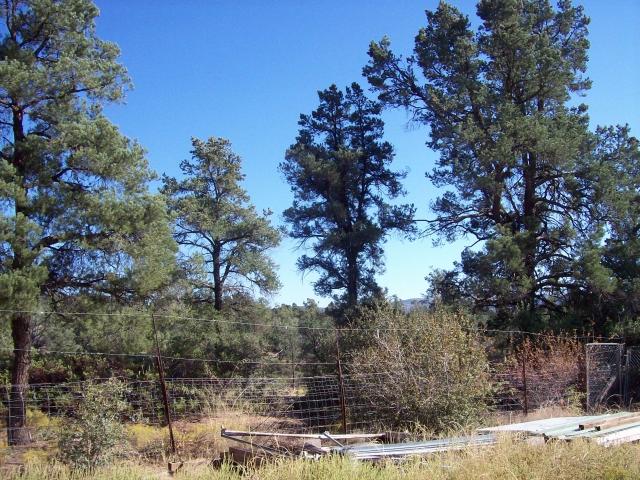639 Pinon Road Star Valley, AZ 85541 - Photo 16 of 17 Outside 10