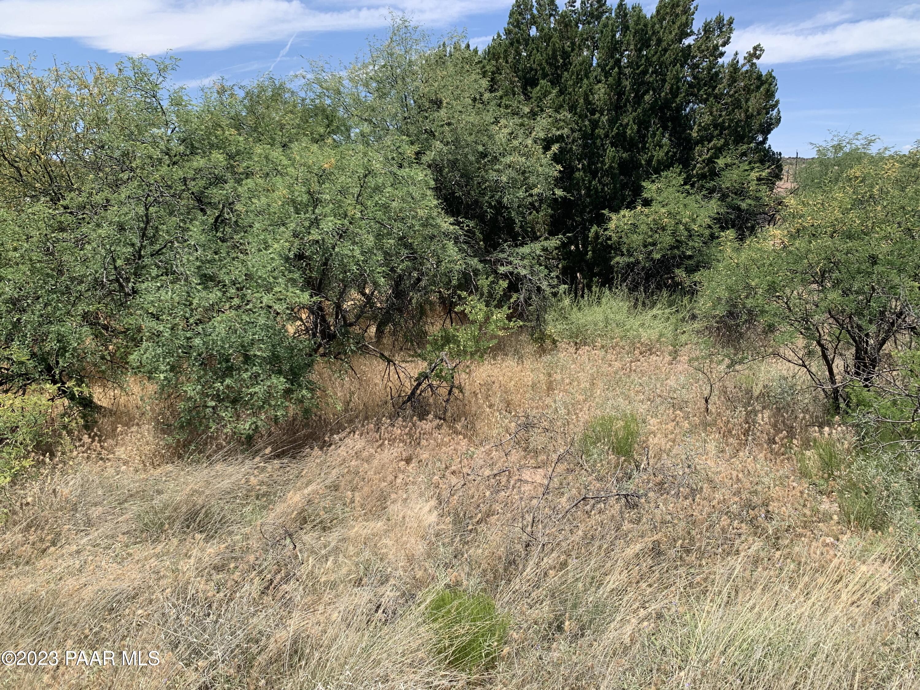 4839 East Beaver Creek Road Rimrock, AZ 86335 - Photo 18 of 22 a view of a forest with a tree in the background