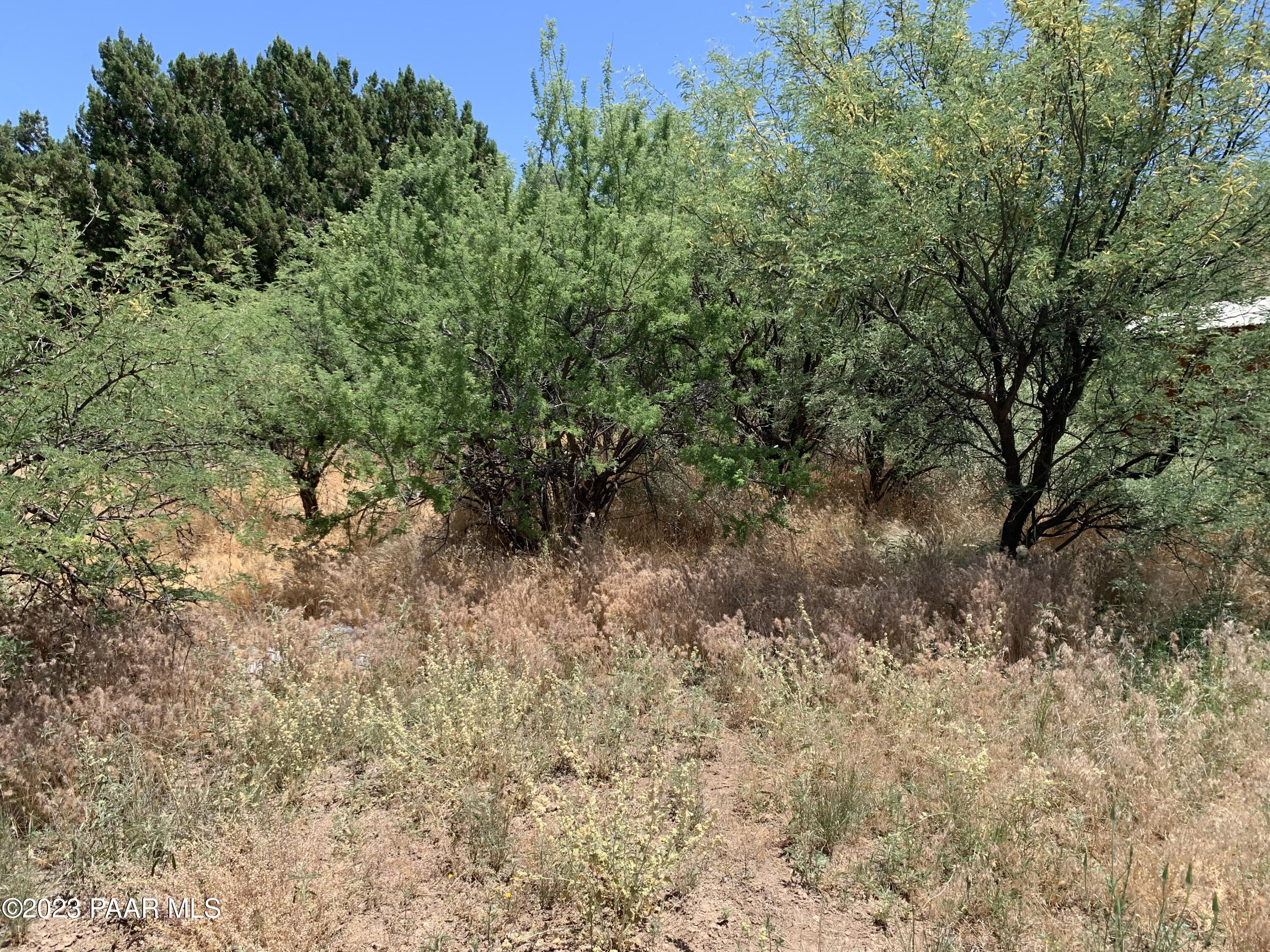 4839 East Beaver Creek Road Rimrock, AZ 86335 - Photo 20 of 22 a view of a forest with trees in the background