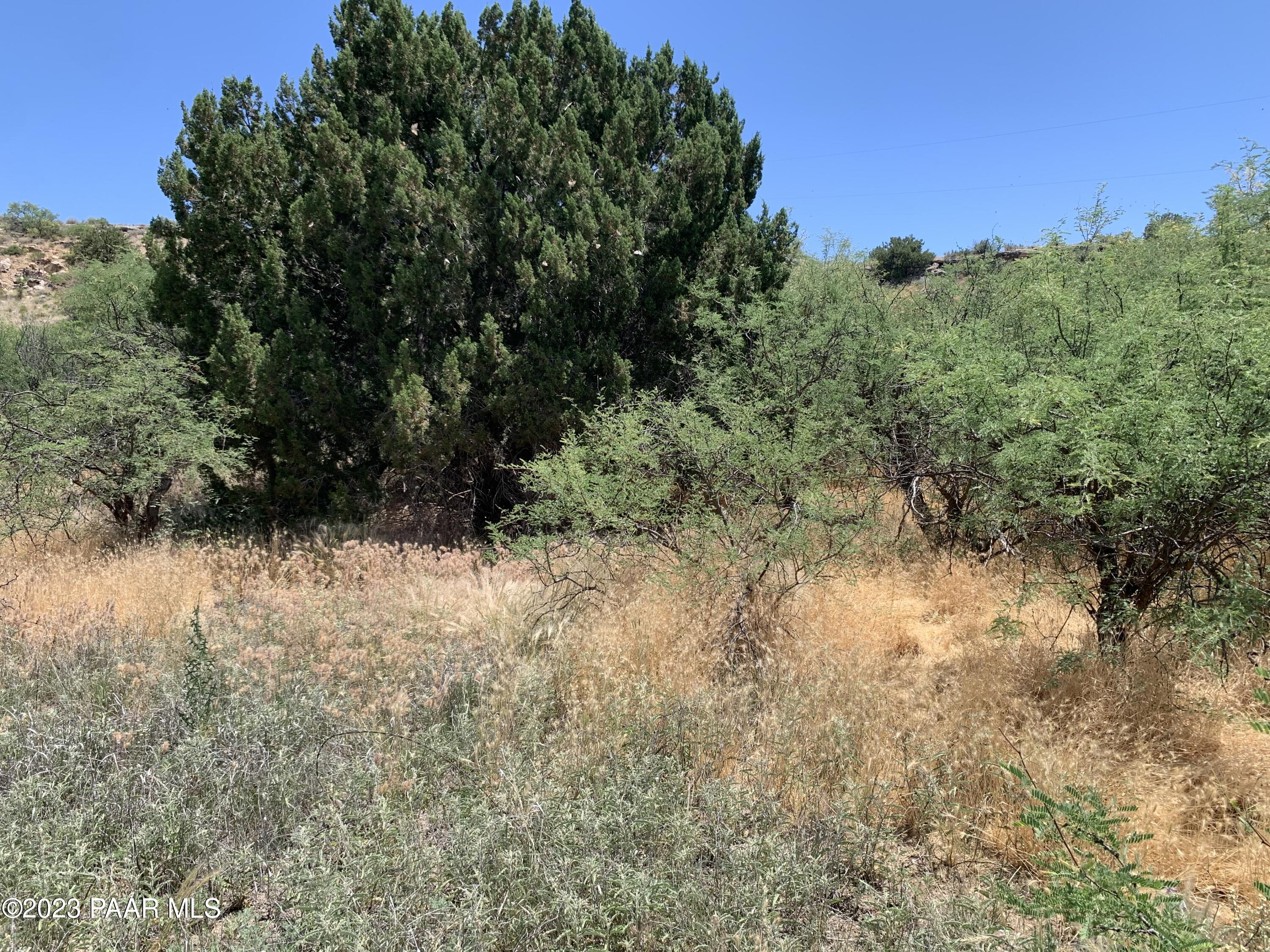 4839 East Beaver Creek Road Rimrock, AZ 86335 - Photo 21 of 22 a view of a yard with a tree