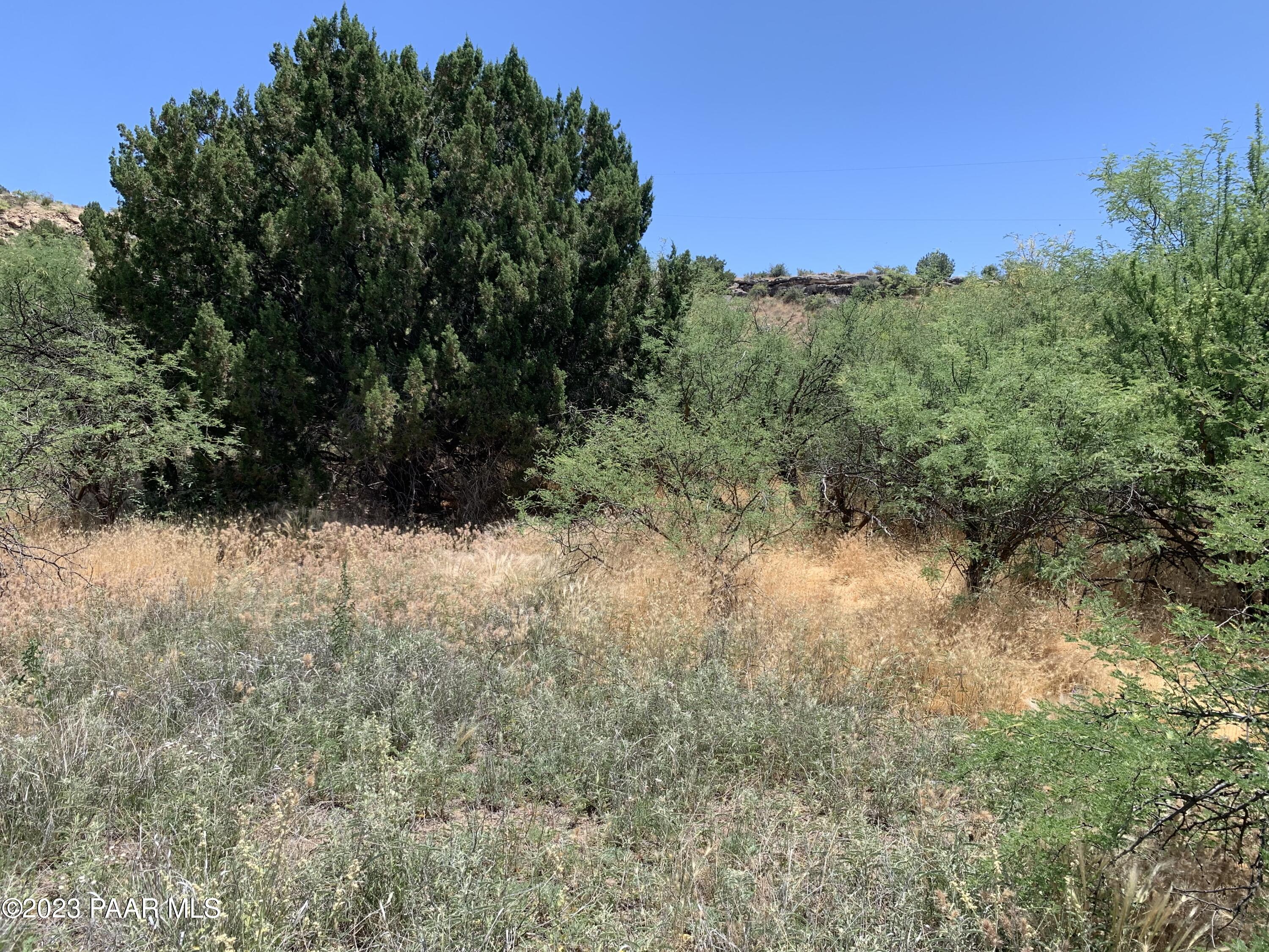 4839 East Beaver Creek Road Rimrock, AZ 86335 - Photo 4 of 22 a view of a lush green forest with lots of trees