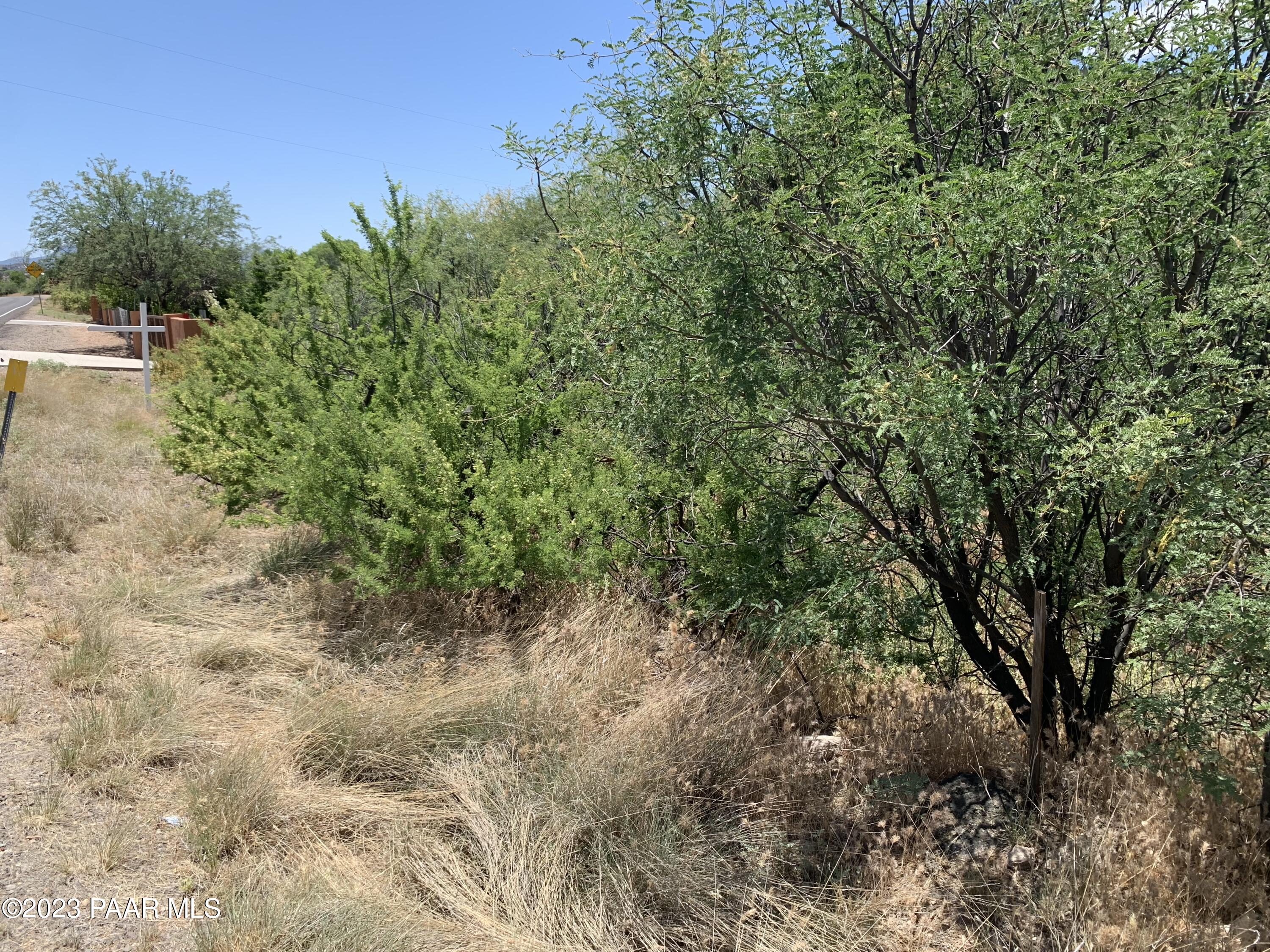 4839 East Beaver Creek Road Rimrock, AZ 86335 - Photo 5 of 22 a view of a forest with trees in the background