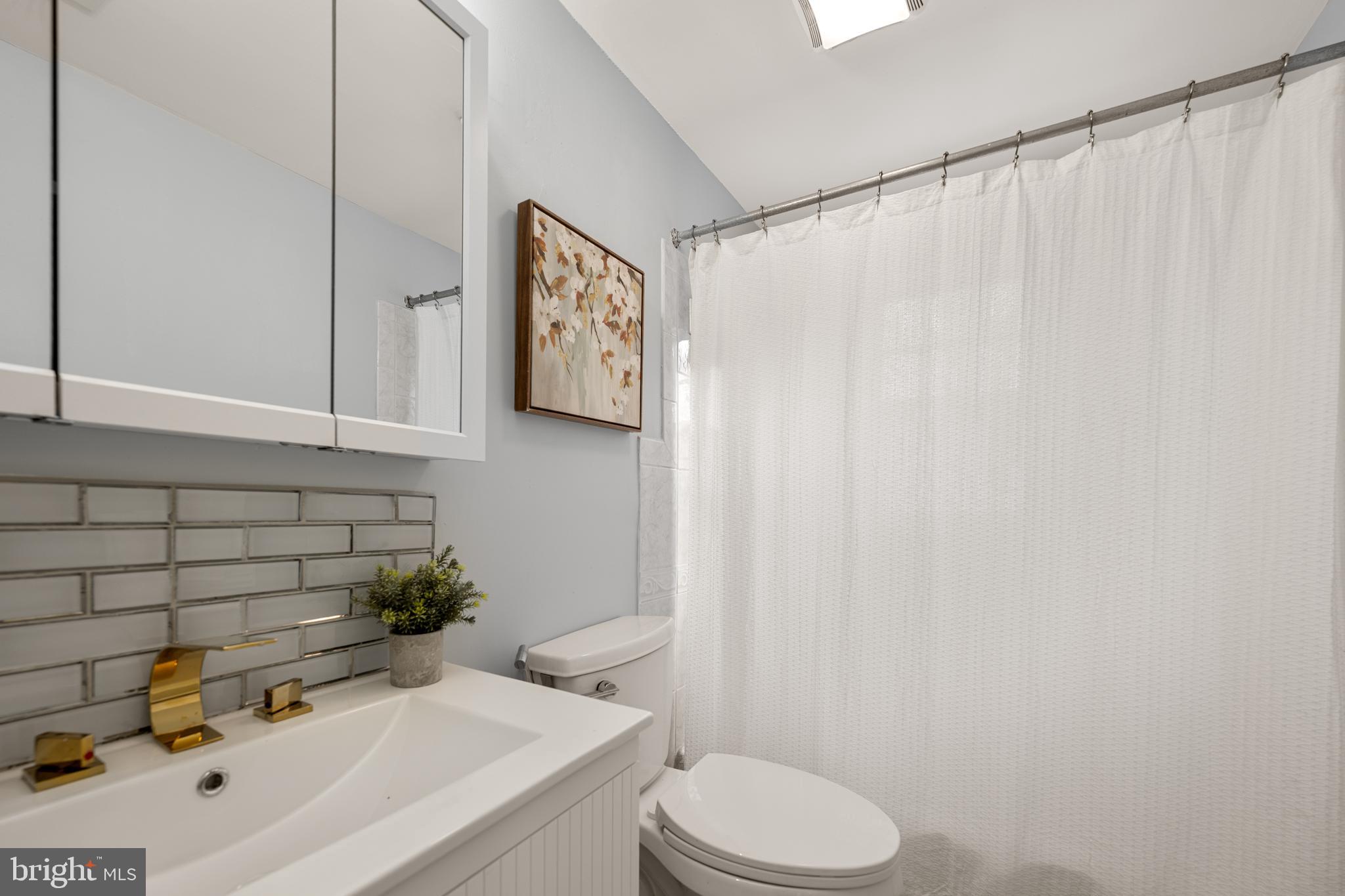 6439 Bock Road Oxon Hill, MD 20745 - Photo 22 of 38 a bathroom with a sink a toilet and shower curtain