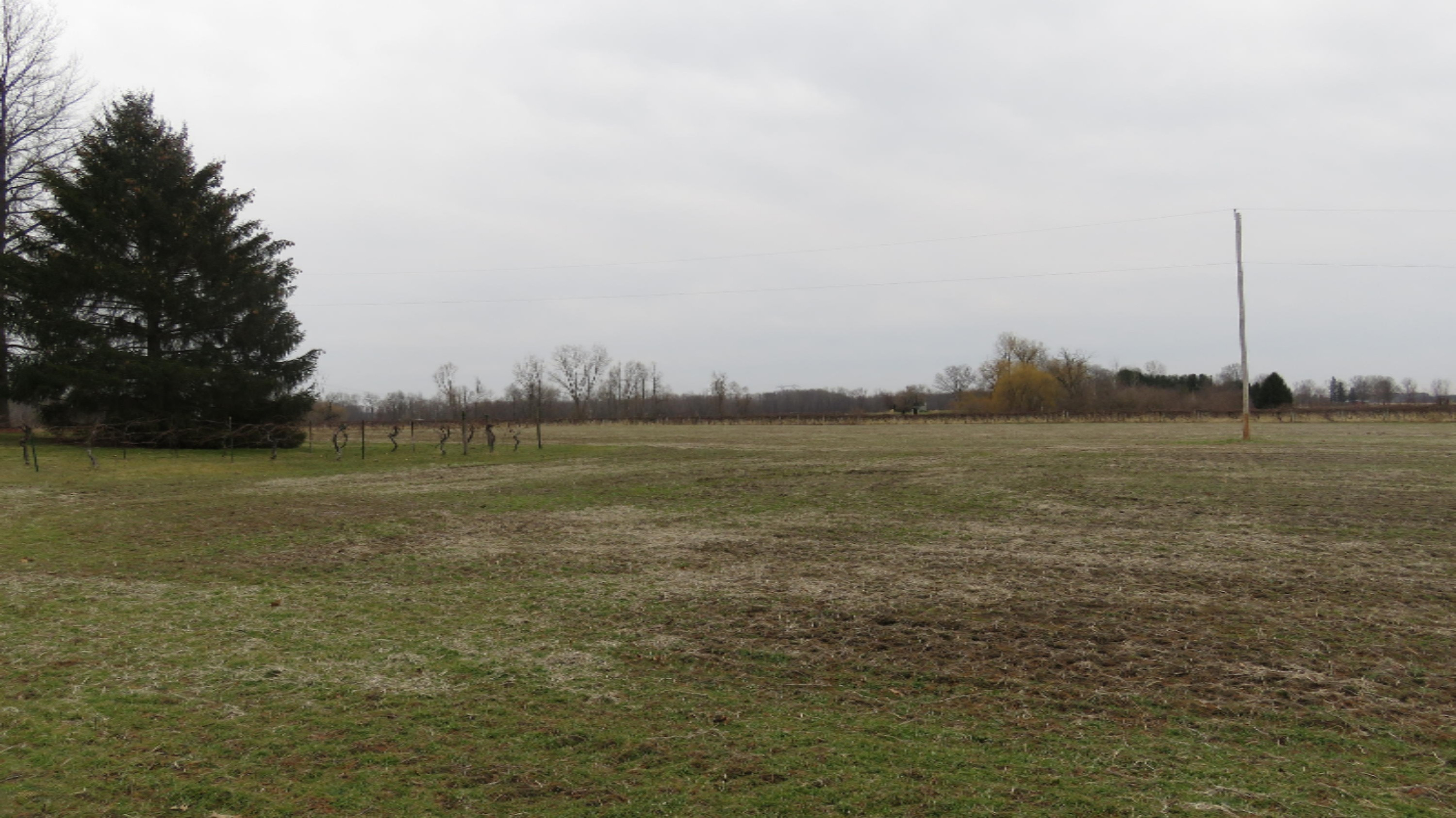 14229 Pardee Road Buchanan, MI 49107 - Photo 7 of 22 IMG_1997