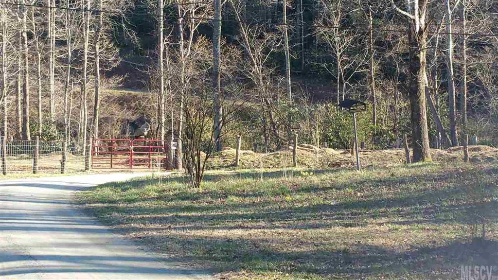 0 Fonta Flora Road Nebo, NC 28761 - Photo 2 of 10 Gallery Image 2
