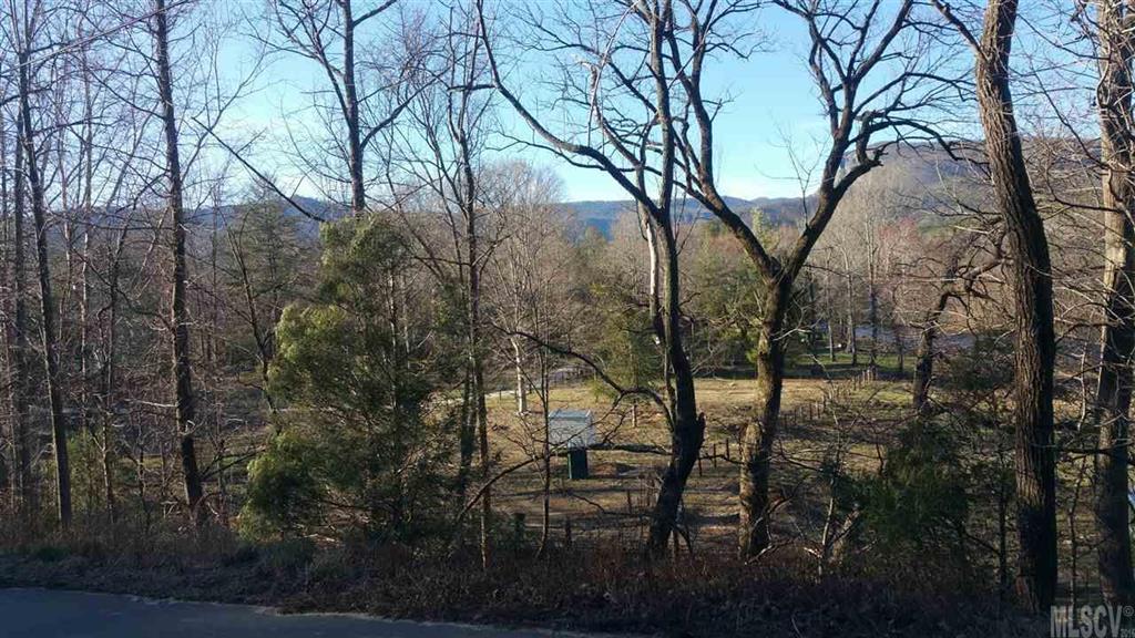 0 Fonta Flora Road Nebo, NC 28761 - Photo 8 of 10 Gallery Image 8