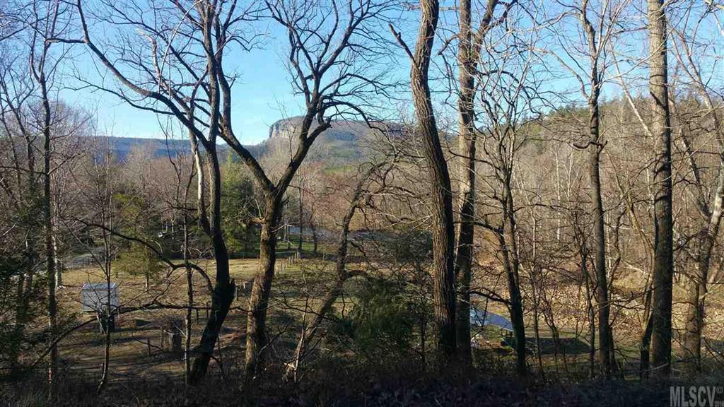 0 Fonta Flora Road Nebo, NC 28761 - Photo 9 of 10 Gallery Image 9