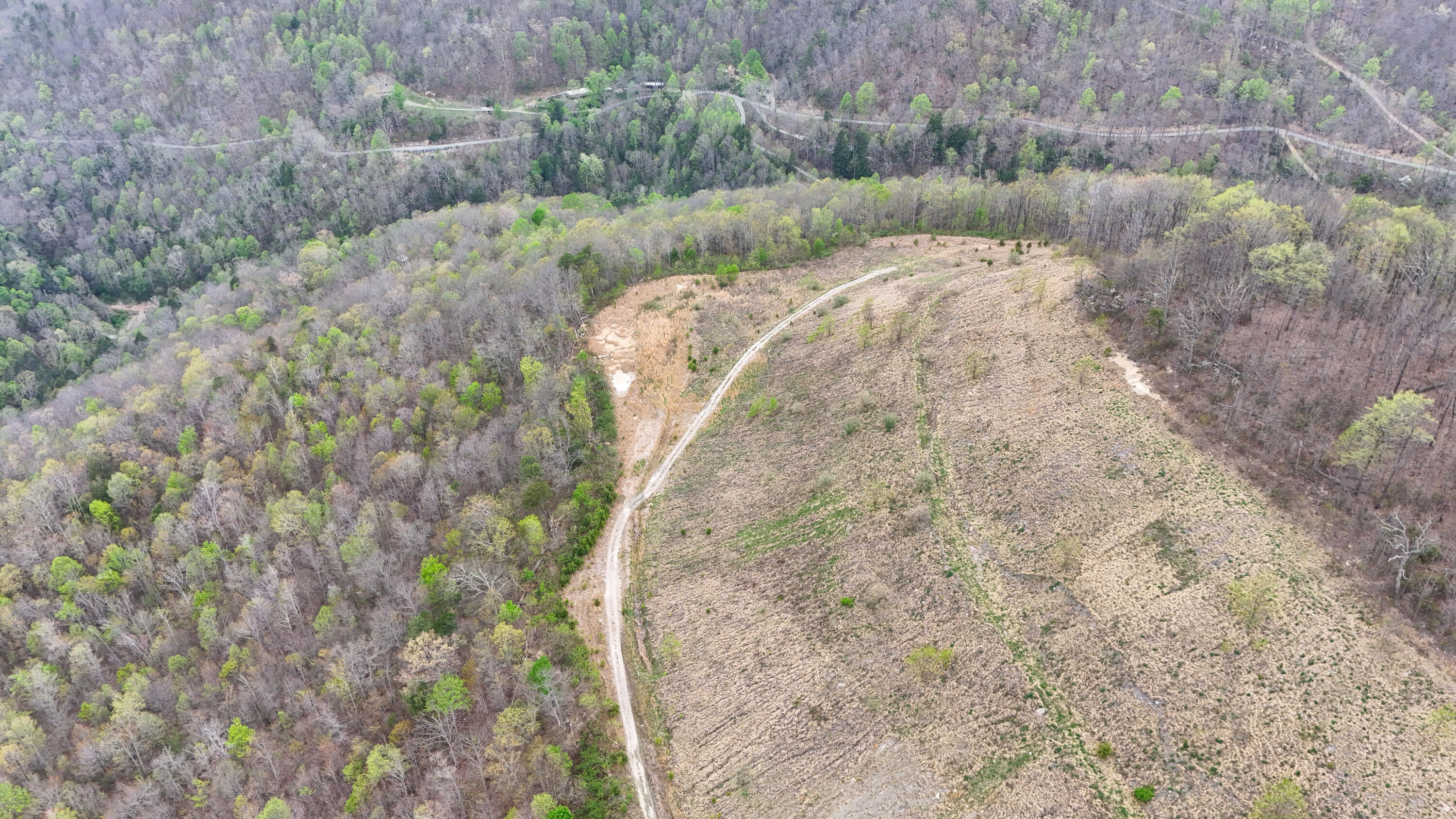 0 Dryfork Road Helton, KY 40840 - Photo 21 of 27 IMG_5509