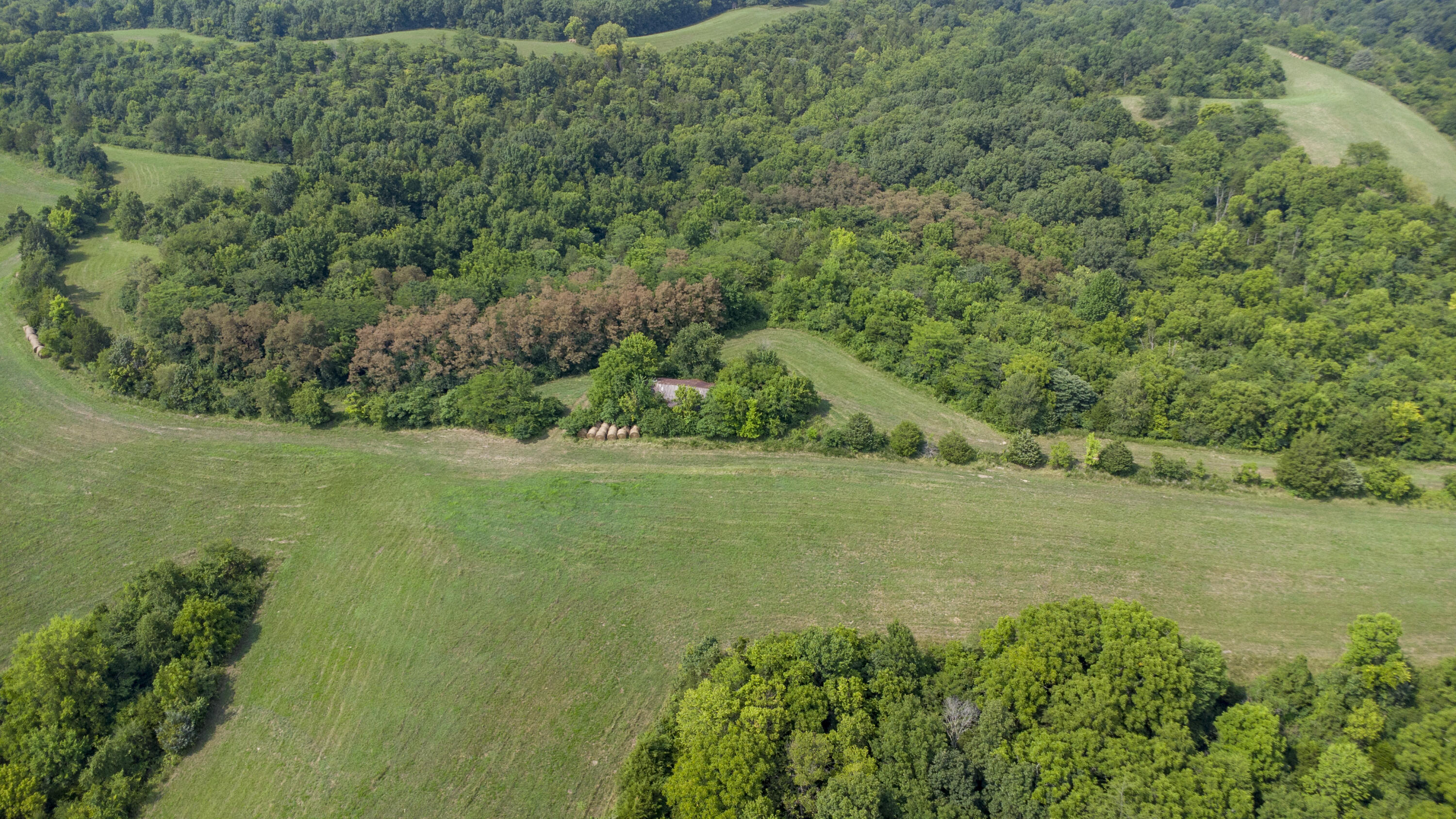 1635 Owenton Road Corinth, KY 41010 - Photo 14 of 35 Gallery Image 14