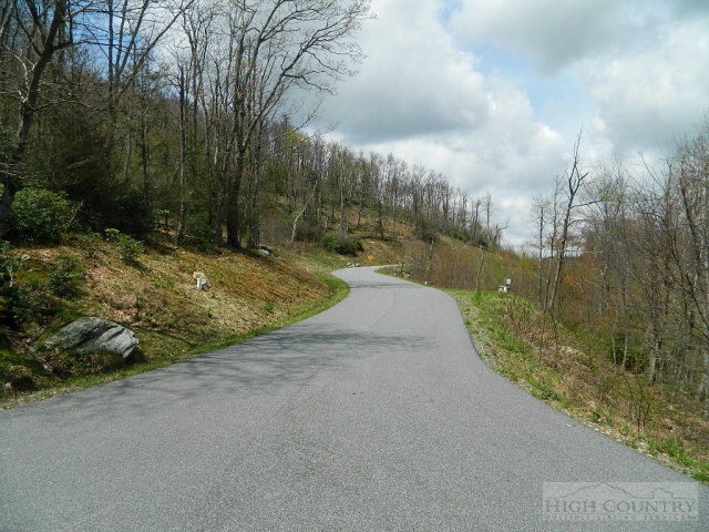 Lot 2 Wapiti Way Boone, NC 28607 - Photo 4 of 5 Gallery Image 4