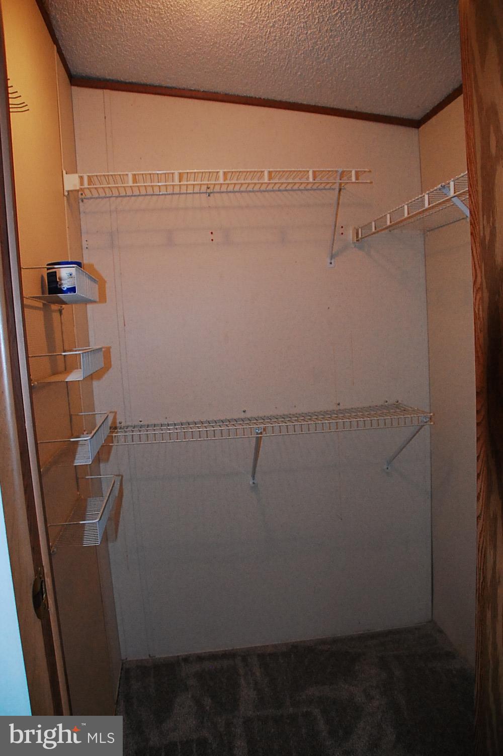 10505 Cedarville Road Brandywine, MD 20613 - Photo 29 of 41 Primary Bedroom Walk-in Closet