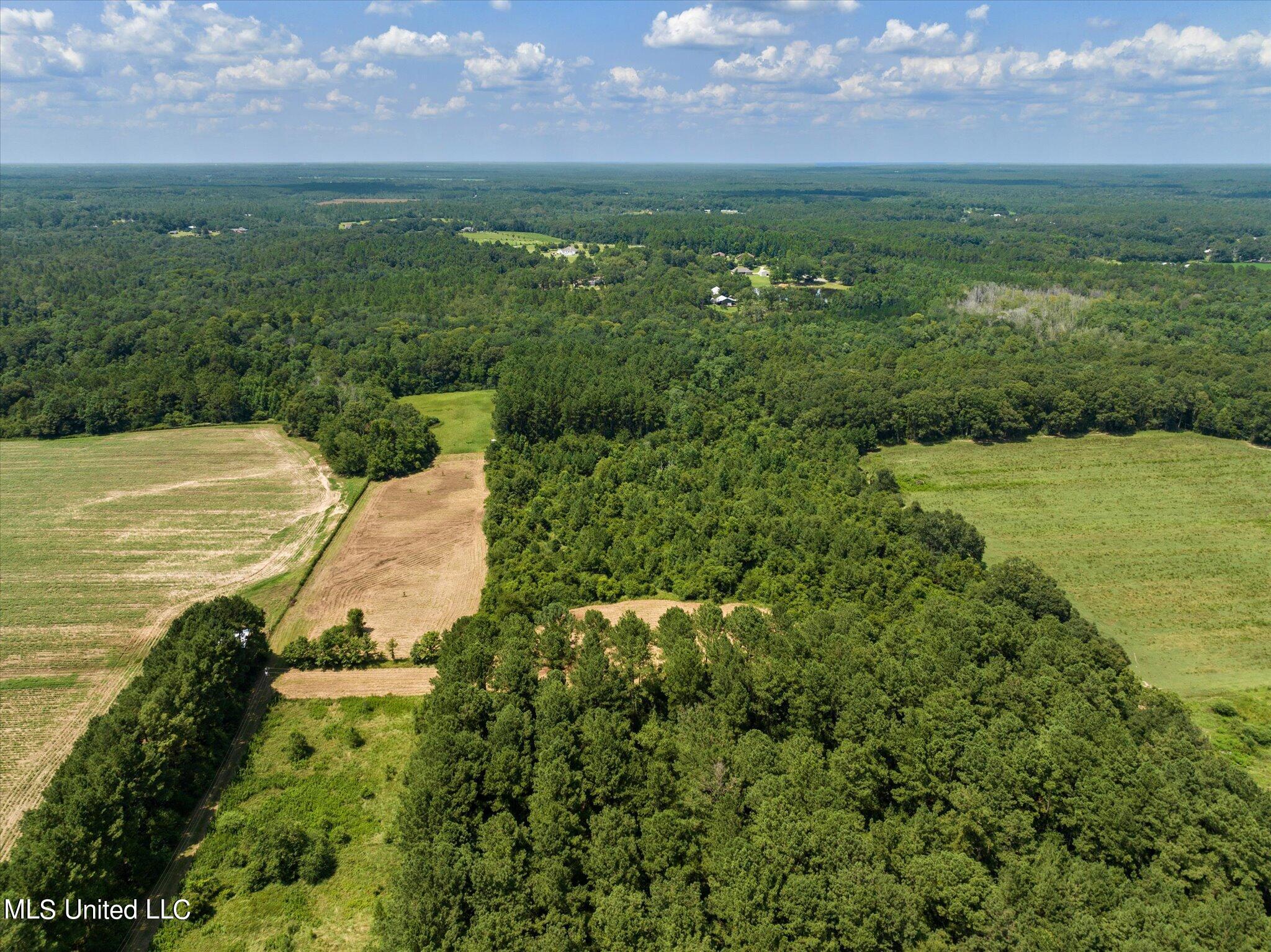 25031 Wallace Road Lucedale, MS 39452 - Photo 12 of 12 12-25301 Wallace Creek Rd-112