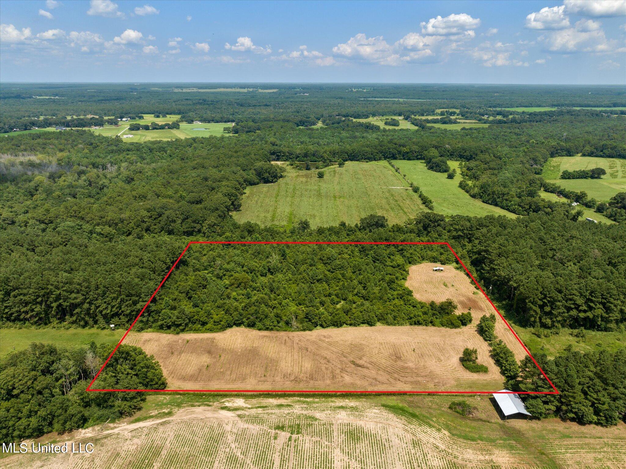 25031 Wallace Road Lucedale, MS 39452 - Photo 2 of 12 02-25301 Wallace Creek Rd-102