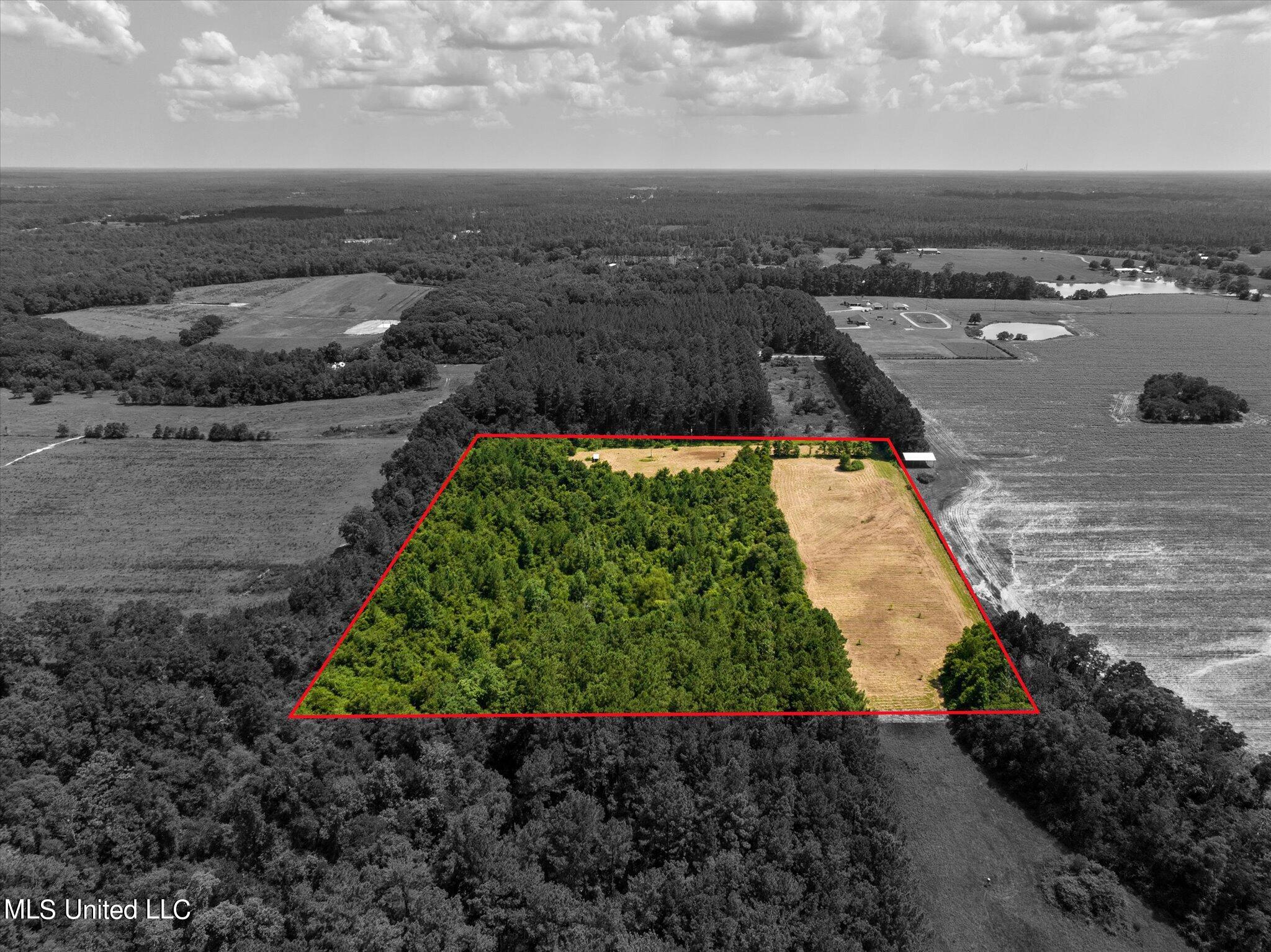 25031 Wallace Road Lucedale, MS 39452 - Photo 4 of 12 04-25301 Wallace Creek Rd-104