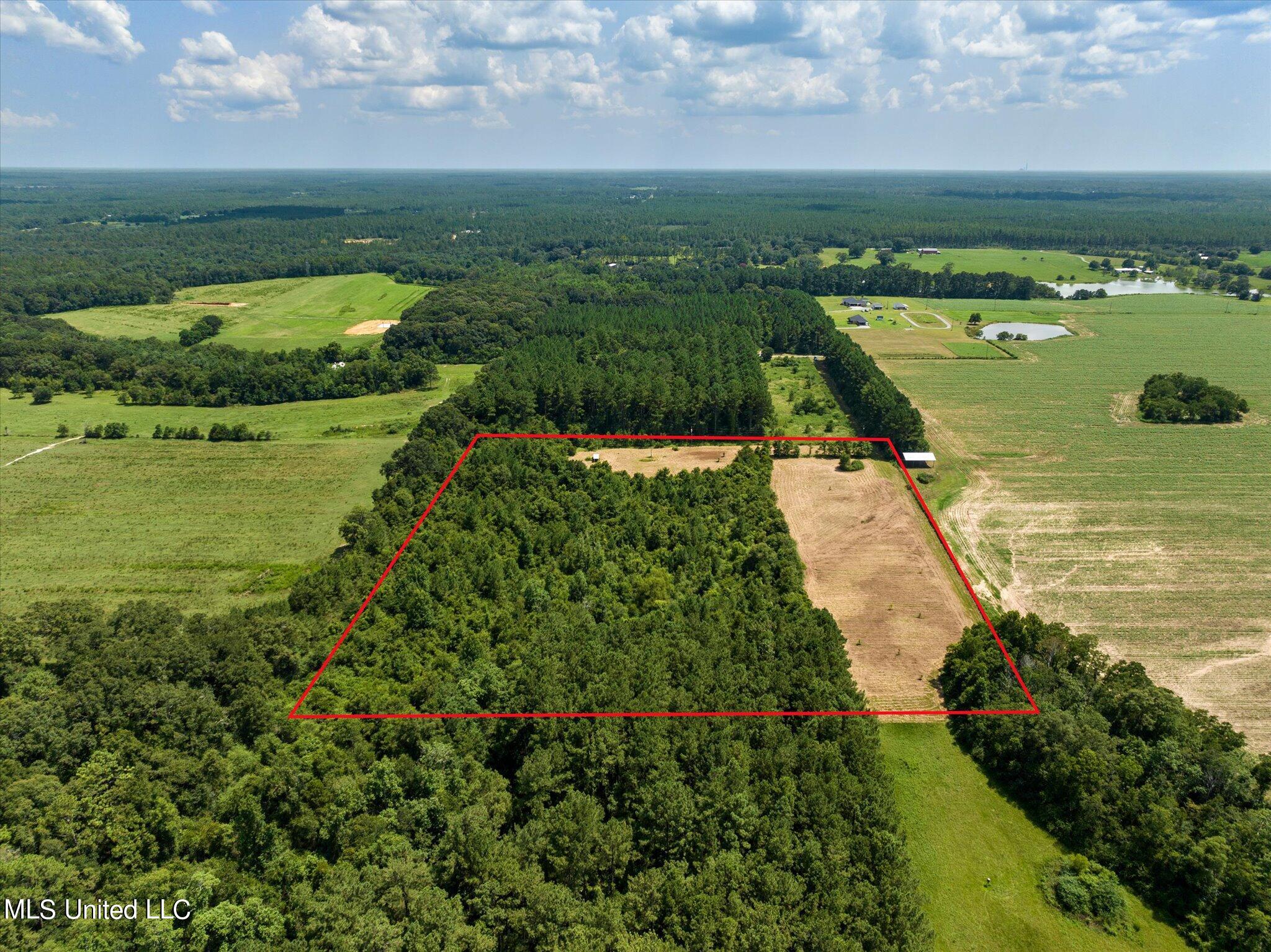 25031 Wallace Road Lucedale, MS 39452 - Photo 5 of 12 05-25301 Wallace Creek Rd-105