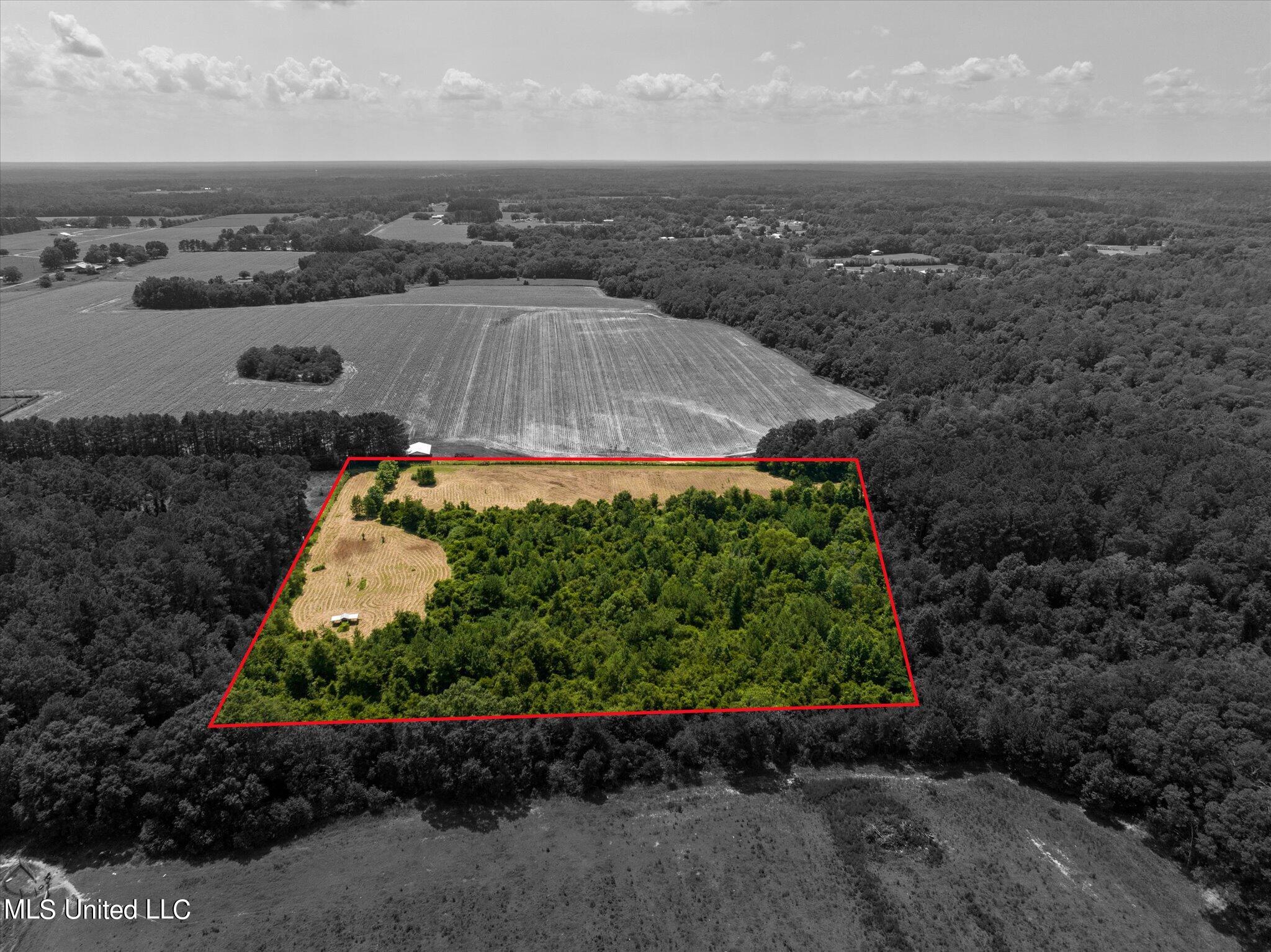 25031 Wallace Road Lucedale, MS 39452 - Photo 7 of 12 07-25301 Wallace Creek Rd-107