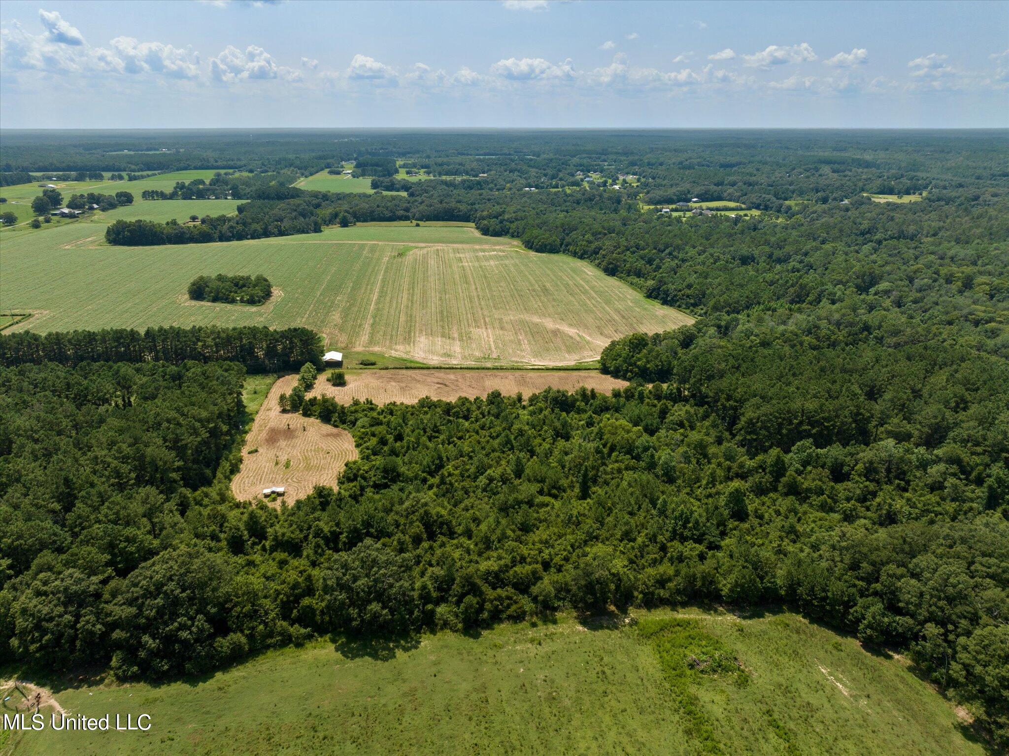 25031 Wallace Road Lucedale, MS 39452 - Photo 9 of 12 09-25301 Wallace Creek Rd-109