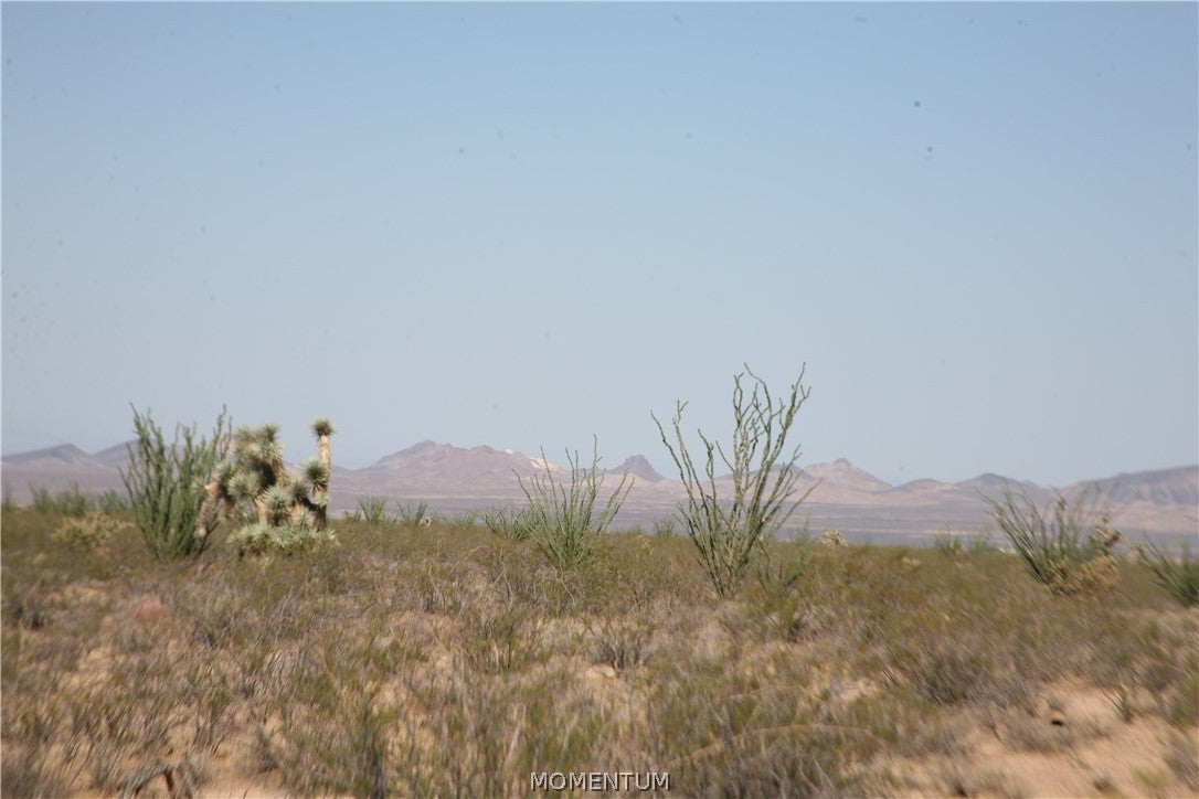 243-15-016 South Custer Road, Unit 3491 Yucca, AZ 86438 - Photo 8 of 61 Gallery Image 8