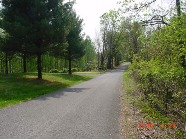 823 Pleasant Ridge Road Woodbury, TN 37190 - Photo 8 of 8 COUNTY ROAD THAT FRONTS PROPERTY