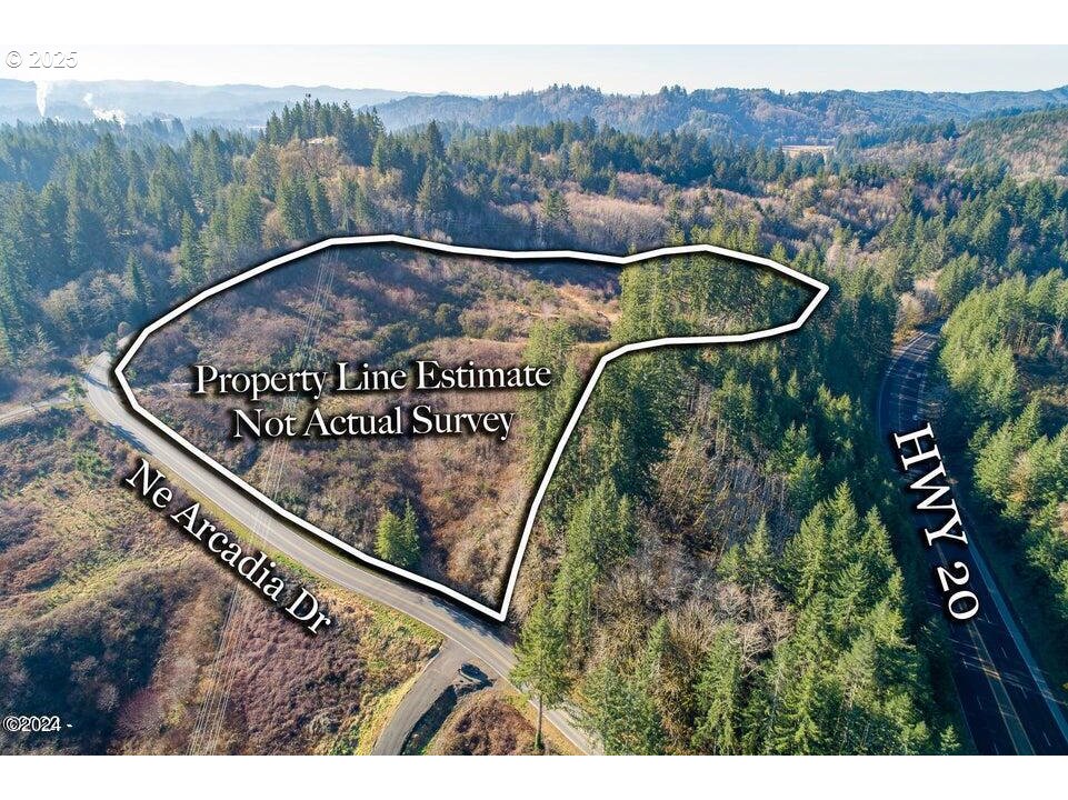 2303 Northeast Arcadia Drive, Unit 2303 Toledo, OR 97391 - Photo 1 of 18 a view of a forest with a street