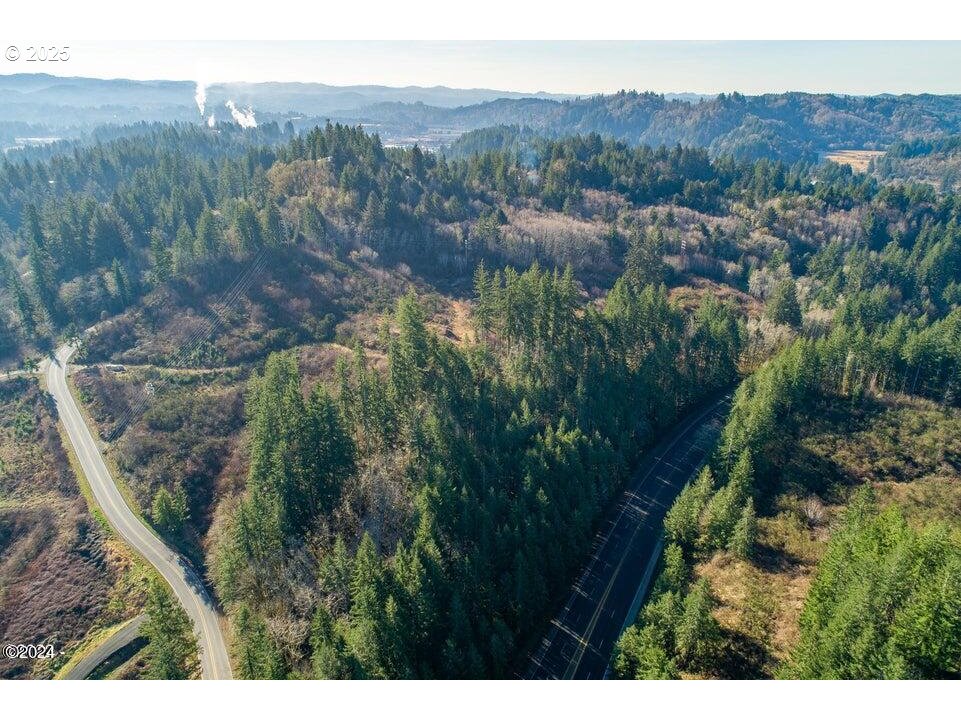 2303 Northeast Arcadia Drive, Unit 2303 Toledo, OR 97391 - Photo 11 of 18 a view of a lot of trees and bushes