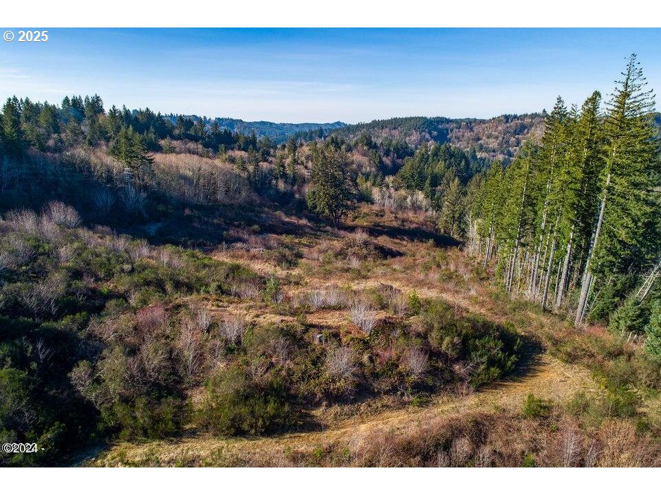2303 Northeast Arcadia Drive, Unit 2303 Toledo, OR 97391 - Photo 16 of 18 a view of a dry yard with large trees
