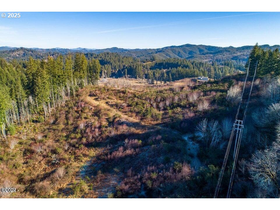 2303 Northeast Arcadia Drive, Unit 2303 Toledo, OR 97391 - Photo 18 of 18 a view of a lot of trees and mountains