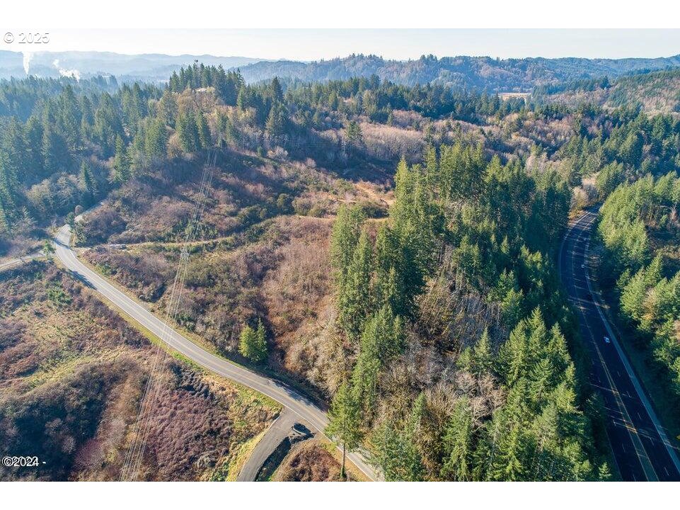 2303 Northeast Arcadia Drive, Unit 2303 Toledo, OR 97391 - Photo 5 of 18 a view of a forest with a mountain and trees