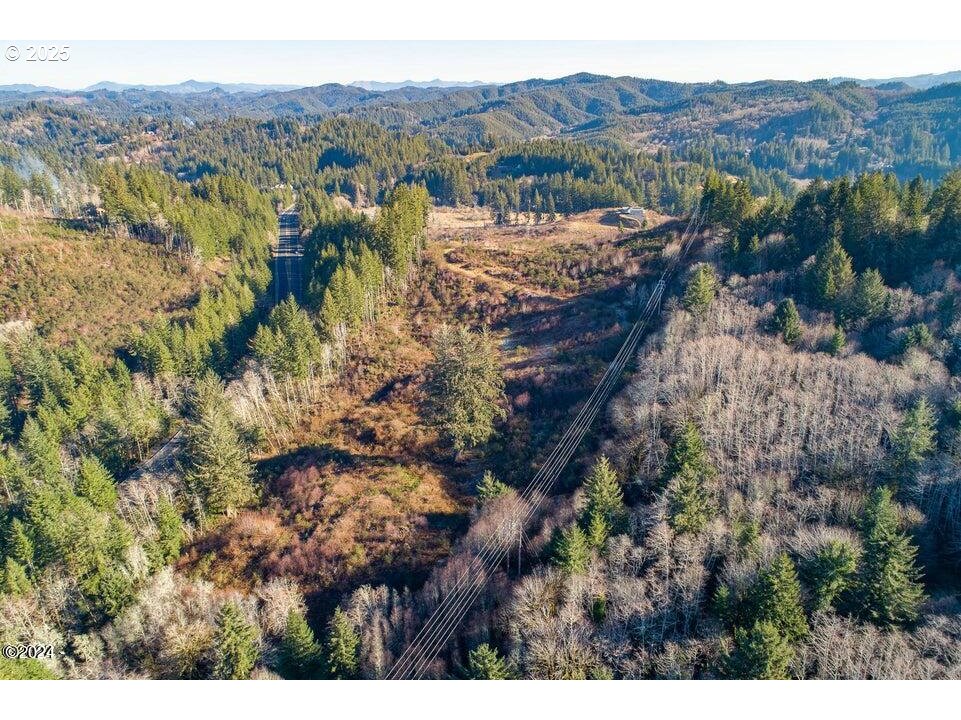 2303 Northeast Arcadia Drive, Unit 2303 Toledo, OR 97391 - Photo 7 of 18 a view of a lush green hillside and houses
