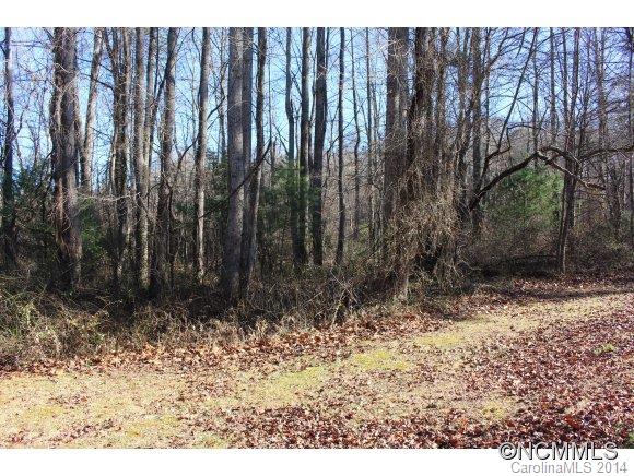 99999 Justice Ridge Road, Unit A Candler, NC 28715 - Photo 1 of 3 Gallery Image 1