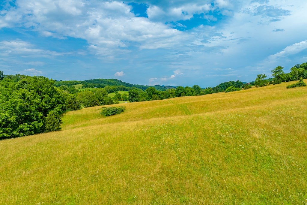 127 Trout Farm Road Rural Retreat, VA 24368 - Photo 75 of 88 Gallery Image 75