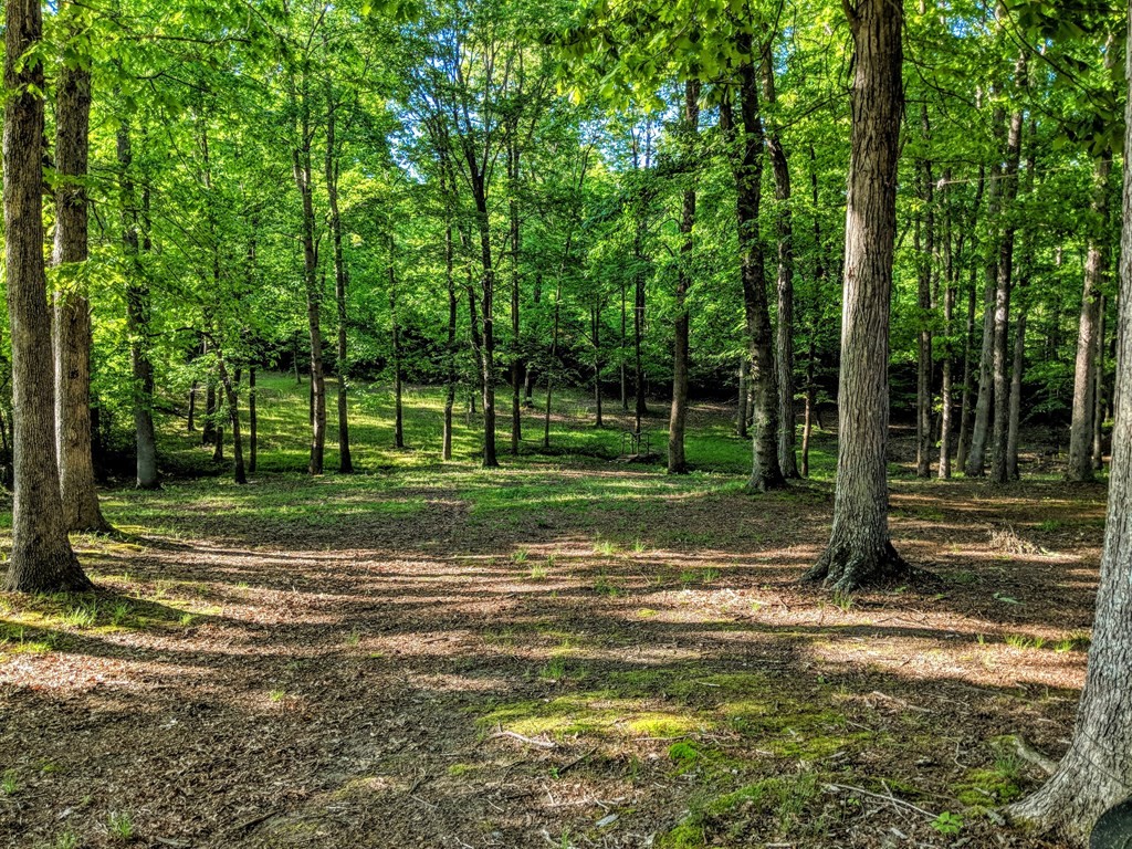 175 Castleton Cove Paris, TN 38242 - Photo 36 of 43