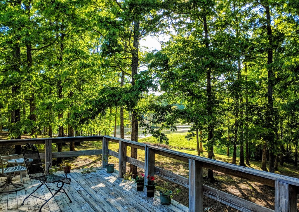 175 Castleton Cove Paris, TN 38242 - Photo 37 of 43