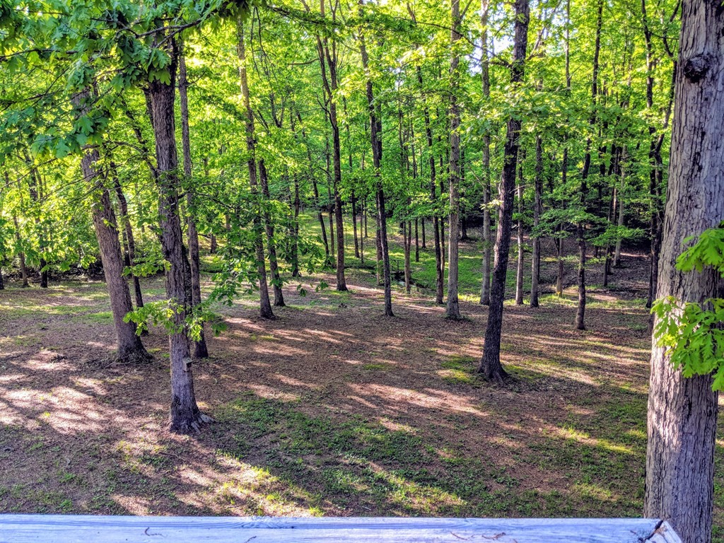 175 Castleton Cove Paris, TN 38242 - Photo 38 of 43