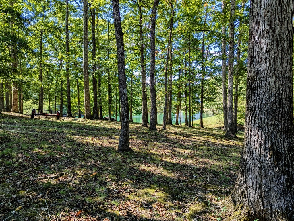 175 Castleton Cove Paris, TN 38242 - Photo 39 of 43