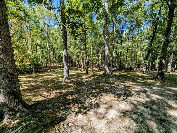 $589,000 | 175 Castleton Cove, Paris, TN 38242