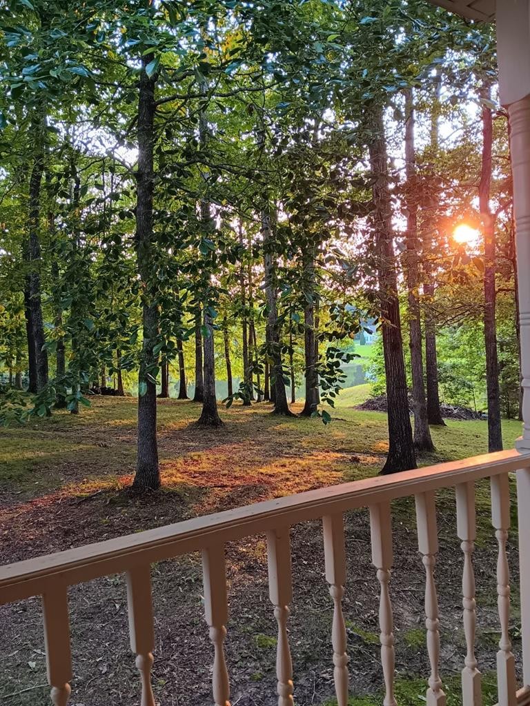175 Castleton Cove Paris, TN 38242 - Photo 42 of 43